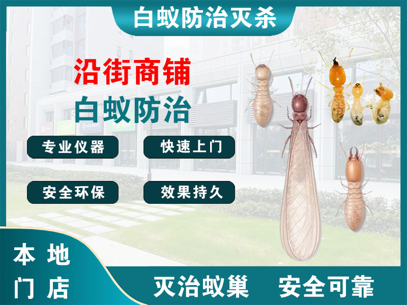 溧阳沿街商铺白蚁防治