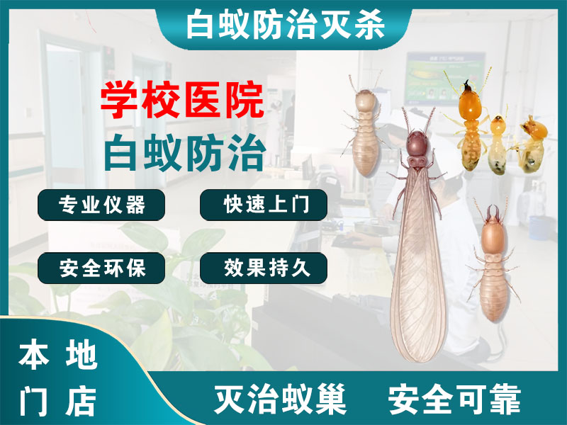 溧阳学校医院白蚁防治