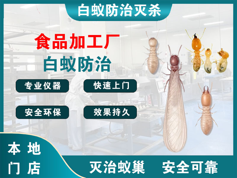 溧阳食品加工厂白蚁防治