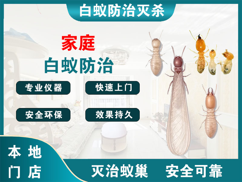 溧阳家庭白蚁防治