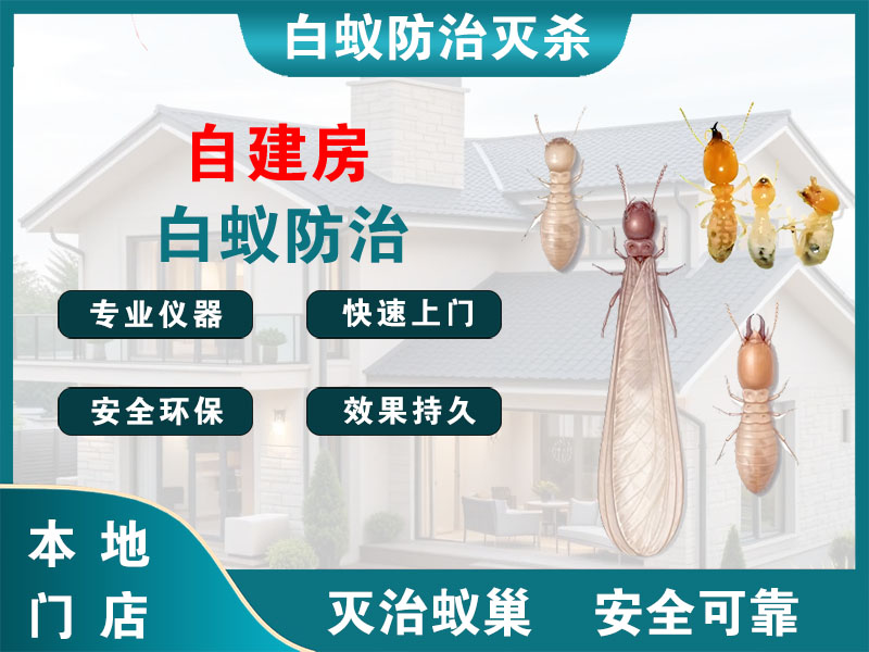 溧阳自建房白蚁防治
