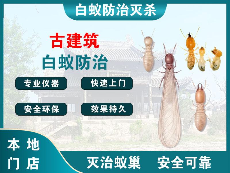 溧阳古建筑白蚁防治