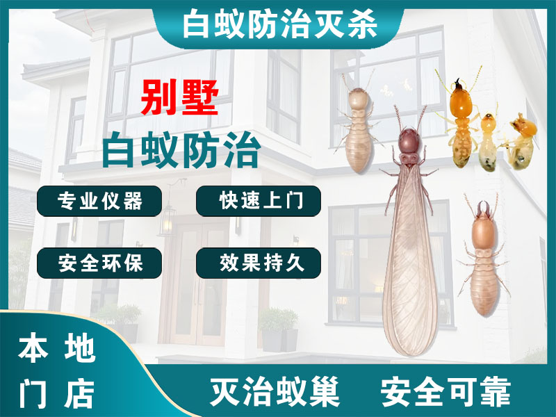 溧阳别墅白蚁防治