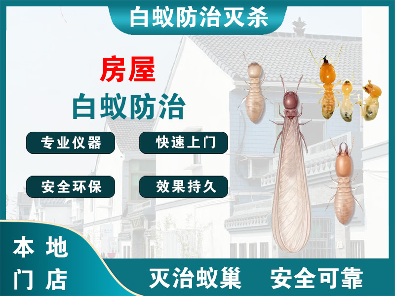 溧阳房屋白蚁防治